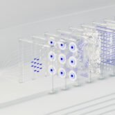 AI-&-ML-in-Business-Practical-Use-Cases-You-Can-Implement-Today